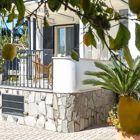 Vesuvian Stone Couette-café Pompéi